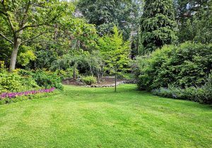 Optimiser l'expérience du jardin à Mont-de-Marrast